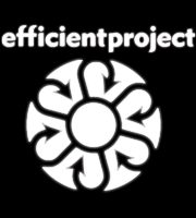 Efficient Project